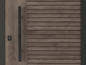 unique door designs 3Dモデル