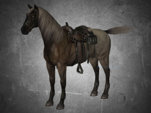 animal - horse a01 3D 模型