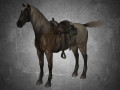 animal - horse a01 3D Модель