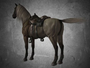 animal - horse a01 3D Model