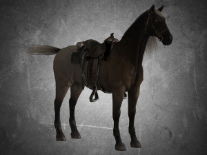 animal - horse a01 3D-Modell