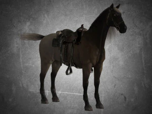 animal - horse a01 3D Model