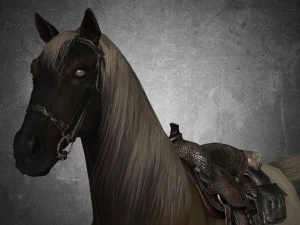 animal - horse a01 3D Model