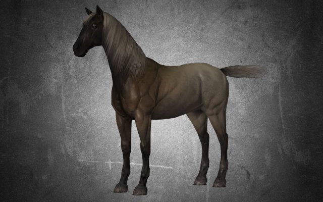 animal - horse a02 nogear 3D Model .c4d .max .obj .3ds .fbx .stl .blend 