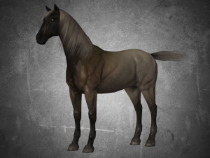 animal - horse a02 nogear 3D 模型