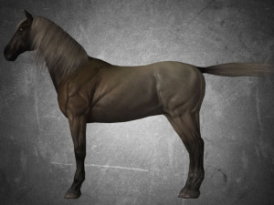 animal - horse a02 nogear 3D Model