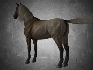 animal - horse a02 nogear 3D Model