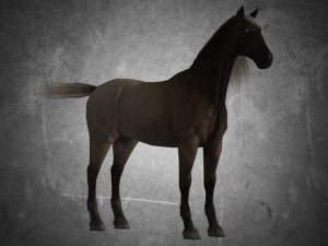 animal - horse a02 nogear 3D Model