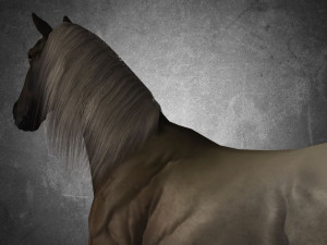 animal - horse a02 nogear 3D Model