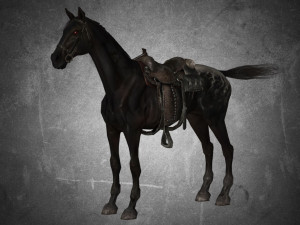animal - horse a03 3D 模型
