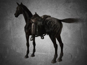animal - horse a03 Model 3D