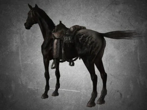 animal - horse a03 3D Model