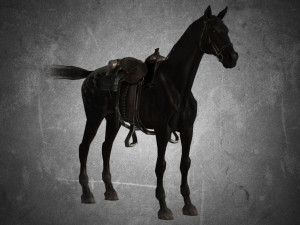 animal - horse a03 Model 3D