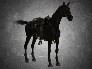 animal - horse a03 3D Model