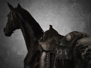 animal - horse a03 Model 3D