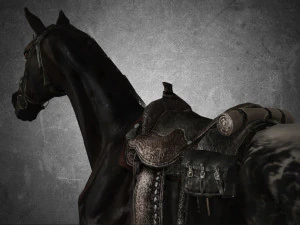 animal - horse a03 3D Model