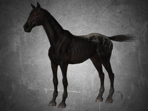 animal - horse a04 nogear 3D 模型