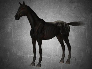 dier - paard a04 nogear 3D Model