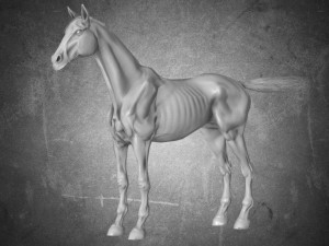 animal - horse a04 nogear Modelo 3D