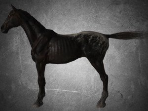 animal - horse a04 nogear Modelo 3D