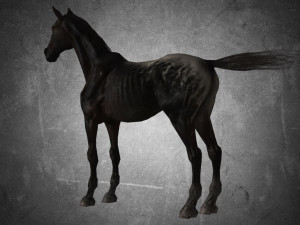 animal - horse a04 nogear Modelo 3D