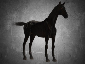 animal - horse a04 nogear Modelo 3D