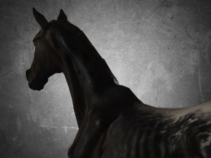 animal - horse a04 nogear Modelo 3D