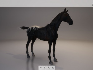 animal - horse a04 nogear Modelo 3D