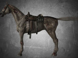 animal - horse a05 3D Model