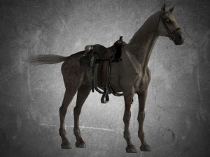 animal - horse a05 3D Model
