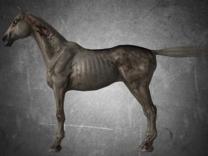 animal - horse a06 nogear 3D Model
