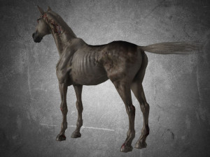 animal - horse a06 nogear Modelo 3D