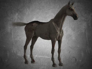 animal - horse a06 nogear 3D Model