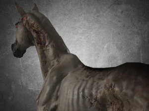 animal - horse a06 nogear 3D Model