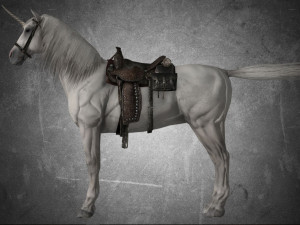 animal - horse a07 Model 3D