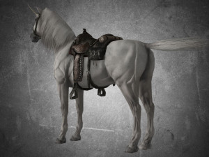 animal - horse a07 Model 3D