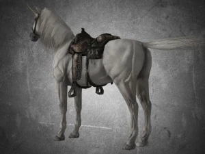 animal - horse a07 3D Model