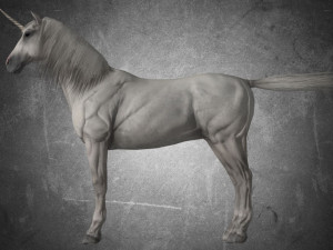 animal - horse a08 nogear 3D 모델