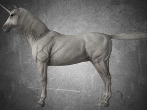 동물 - 말 a08 nogear 3D 모델