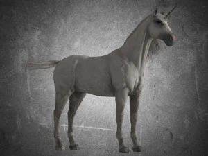 동물 - 말 a08 nogear 3D 모델