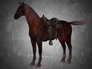 animal - horse a09 3D 模型