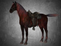animal - horse a09 3D Модель