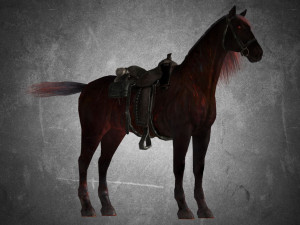 animal - horse a09 3D Model