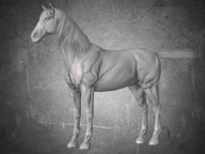 animal - horse a10 nogear 3D Model