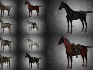 collection animal - horse a01-a10 3D 模型