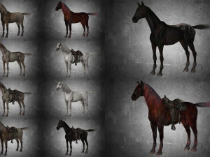 collection animal - horse a01-a10 3D Model
