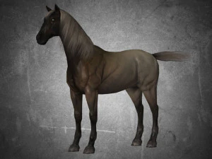 collection animal - horse a01-a10 3D Model