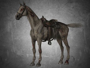 collection animal - horse a01-a10 3D Model