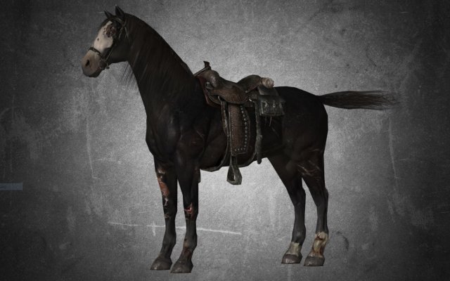animal - horse b01 3D Модель .c4d .max .obj .3ds .fbx .stl .blend 