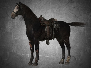 animal - horse b01 3D 模型
